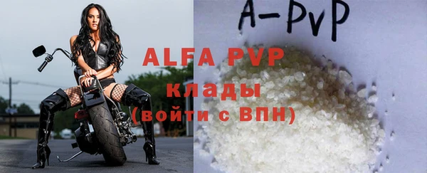 дживик Белокуриха