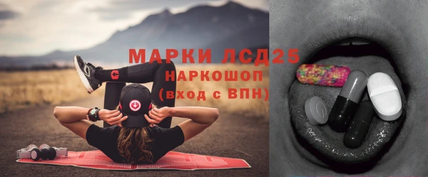 дживик Белокуриха
