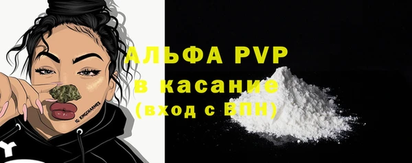 дживик Белокуриха