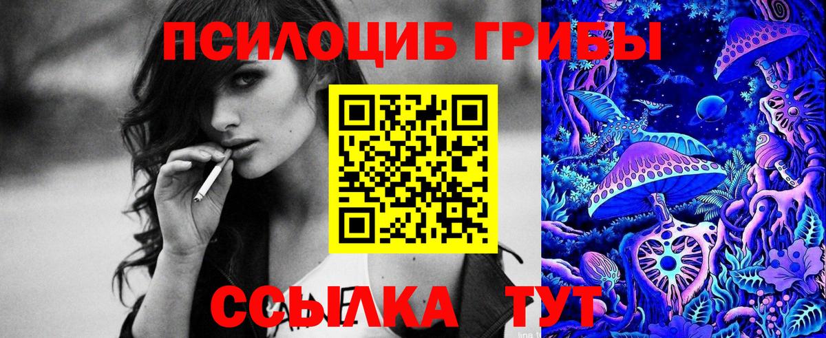 Галлюциногенные грибы Cubensis  Псилоцибиновые грибы мицелий  купить наркоту  Губкинский  Вход с VPN 