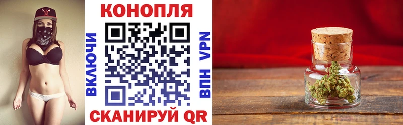 Конопля семена  продажа наркотиков  Губкинский 