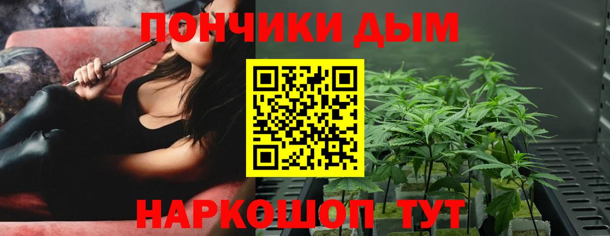 Канабис OG Kush Губкинский